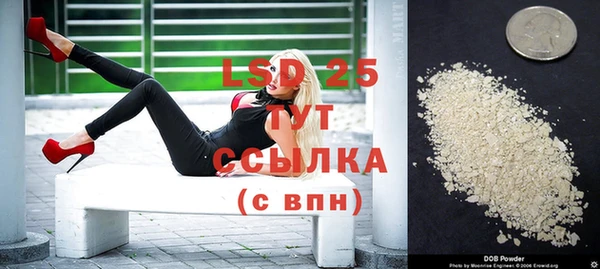 гидра Володарск